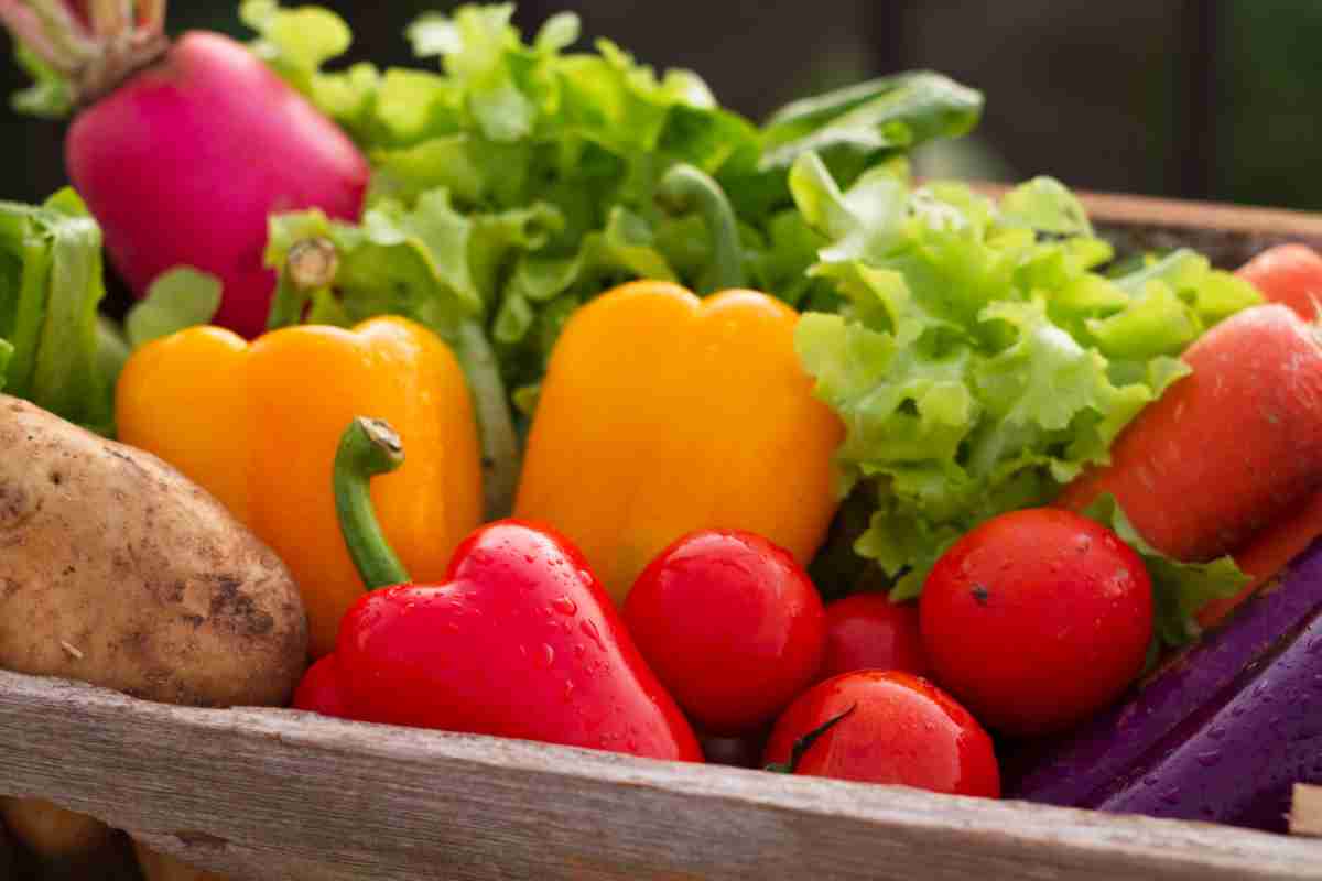 My Weekly CSA Box Meal Plan: How I’m Using Every Vegetable